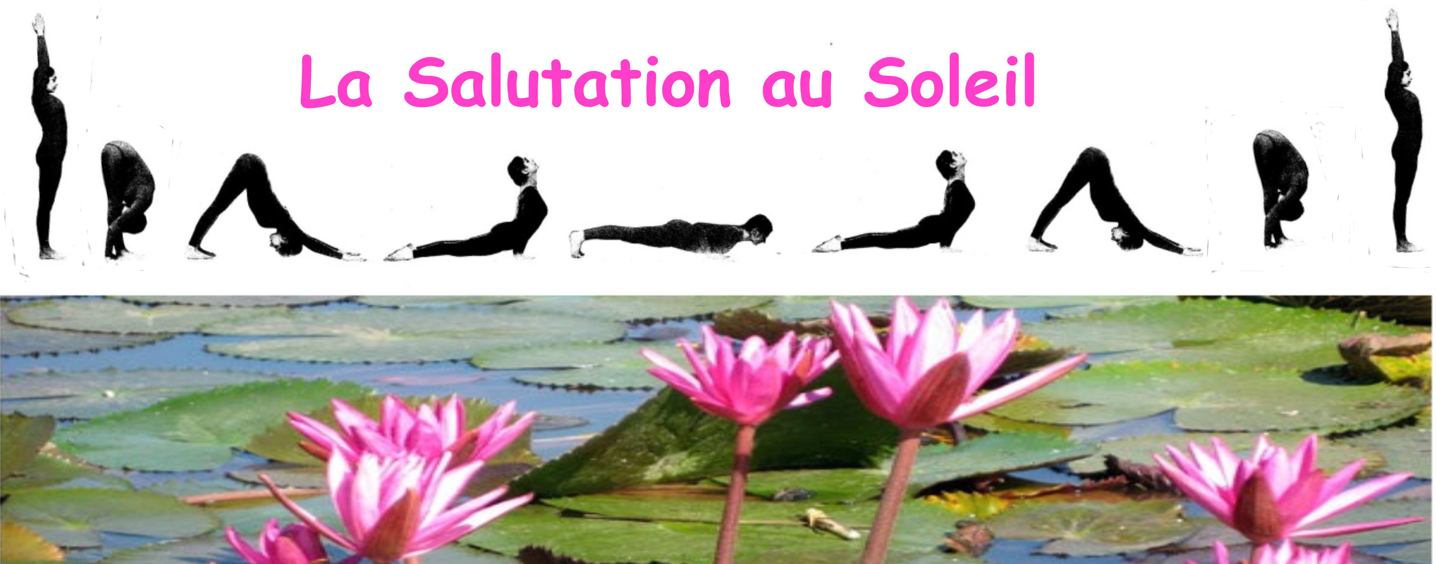 la salutation au soleil:enchainement de postures yoga